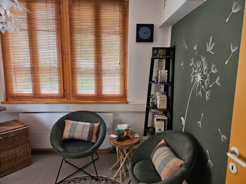 Le coin d’entretien : deux fauteuils en velours vert, une petite table en bois flotté et une bibliothèque.