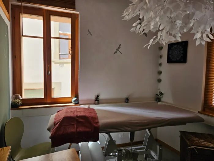 La table de soin, sous une fenêtre en bois, entre des plantes et des libellules dessinées au mur.
